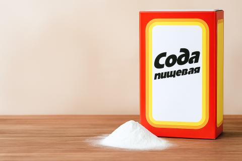 Светлана Михайлова объяснила, как сода может ухудшить состояние растений при борьбе с мучнистой росой