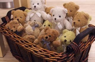 Как сохранить мягкие игрушки в идеальном состоянии: от выбора до регулярной чистки и хранения