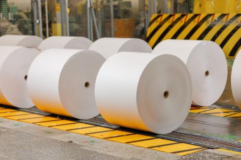 Бумагу можно переработать до шести раз — эколог Пешков