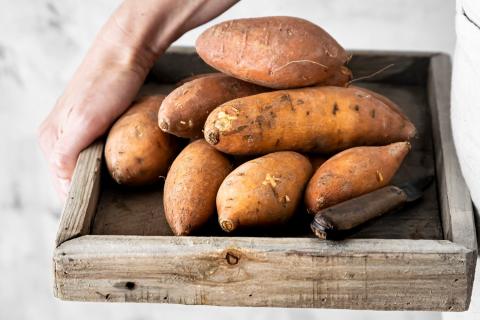 Цветная капуста с сыром, кускус с пряностями и рис с орехами вошли в список популярных гарниров 2025 года