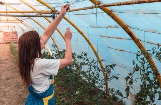 Соседи удивляются: на моём участке всё зелёное даже в декабре — секрет прост