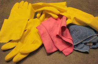 Резиновые перчатки помогают очистить ковры и мебель от шерсти и пыли