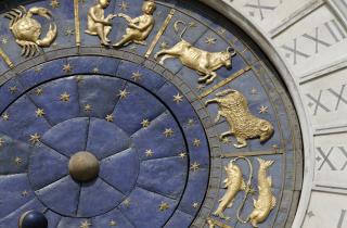 Астрологи определили растения для каждого знака Зодиака: от монстеры до бонсая