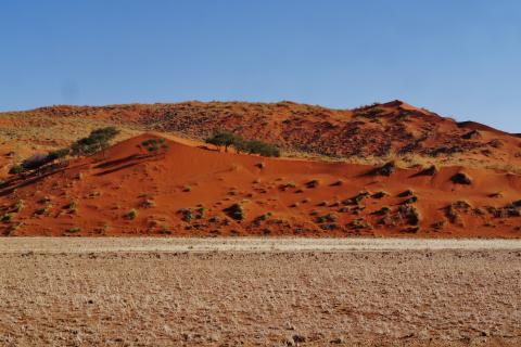 В пустыне Намиб проходит шестидневный забег Namib Race длиной 250 километров