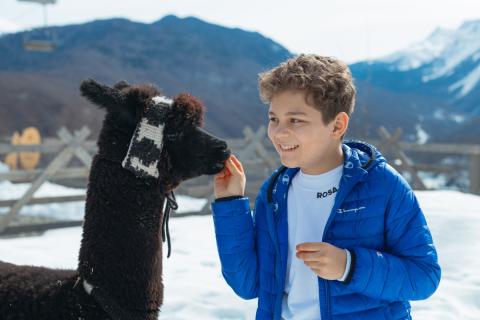 Туризм в России выходит в лес: как альпаки и хаски меняют правила отдыха и вдохновляют путешественников