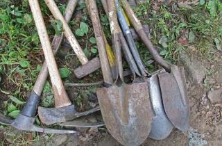 Коварный март губит семена: почва должна прогреться до нужной отметки ради спасения газона