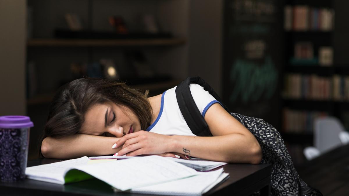 девушка спит на книгах