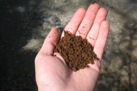 Дыхание жизни под слоем земли: отсутствие разрыхлителей превращает субстрат в плотный бетон