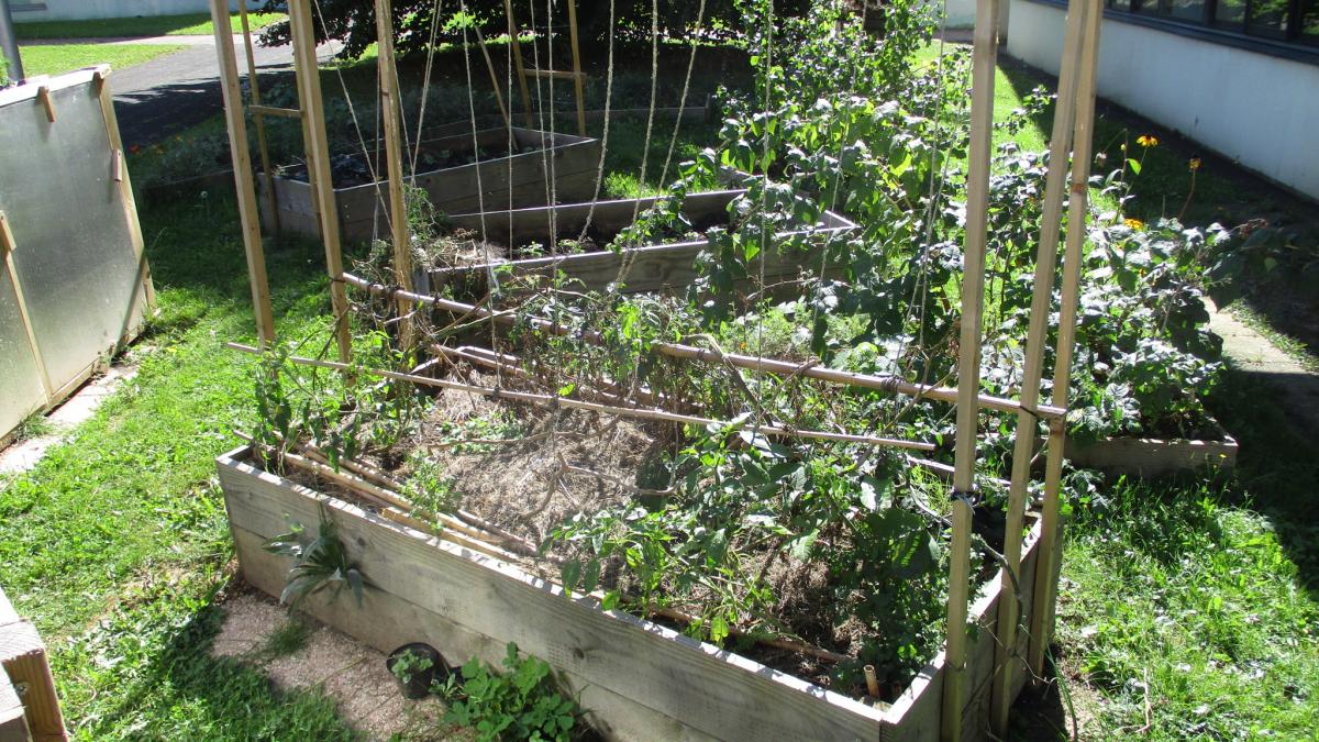 Высокие грядки