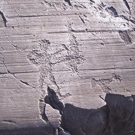 Ученые обнаружили рисунки древних людей рядом со следами динозавров в Бразилии