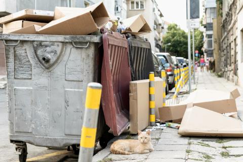 В Петербурге нашли новорождённого, брошенного в коляске на улице возле мусора