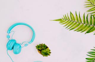 Растения по-разному реагируют при воздействии звуковых вибраций