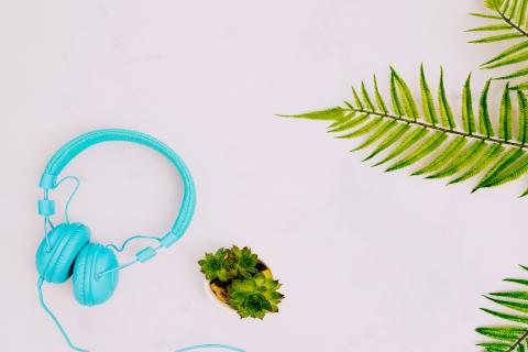 Растения по-разному реагируют при воздействии звуковых вибраций