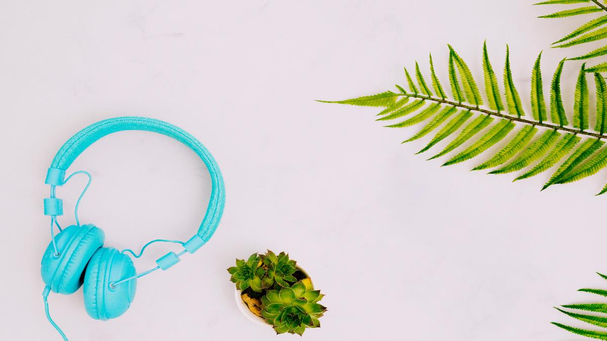 Растение и музыка