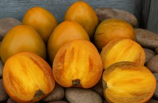 Закрыла овощи на зиму, как всегда — а потом вся семья оказалась в больнице