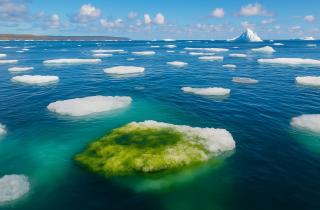 Глобальное потребление пресной воды выросло на четверть за двадцать лет — Рик Хогебум
