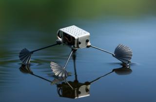 Инженеры Калтеха создали робота, объединяющего ходьбу и полет — Аарон Эймс