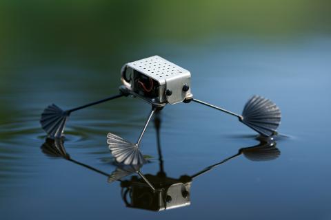 Инженеры Калтеха создали робота, объединяющего ходьбу и полет — Аарон Эймс