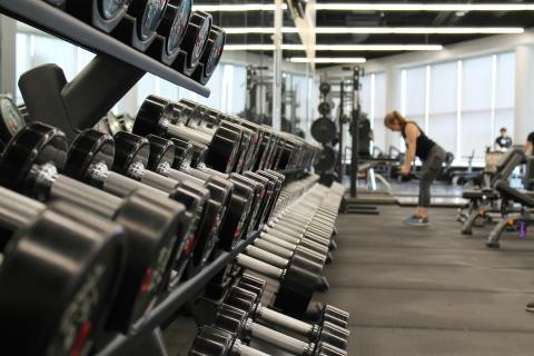 Какие мышцы укрепляет тяга гантелей в наклоне по данным Journal of Strength and Conditioning Research