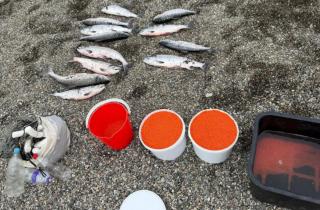 Названы российские лимиты на вывоз денег, драгоценностей и икры