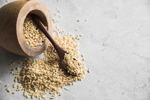 Ячменный кофе снова стал популярным благодаря мягкому вкусу и пользе для здоровья