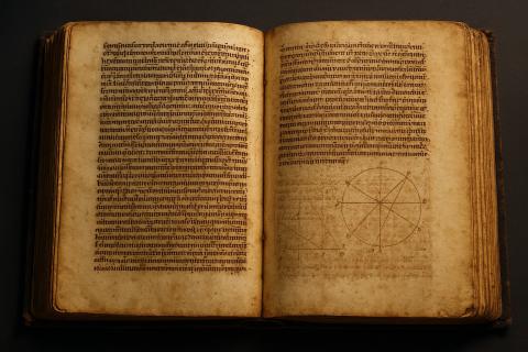 Рукопись Войнича датировали XV веком с помощью радиоуглеродного анализа — Cryptologia