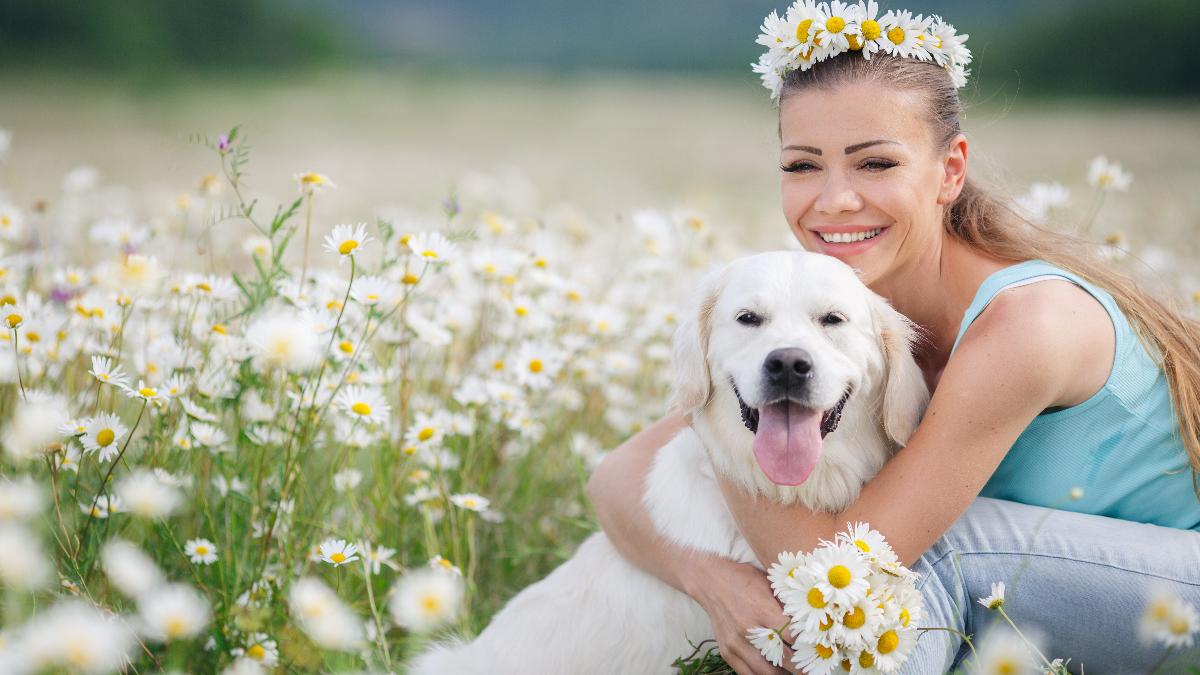 собака с девушкой в ромашках