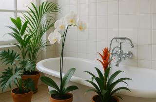 Не ожидала, что в ванной можно выращивать цветы — теперь у меня оазис