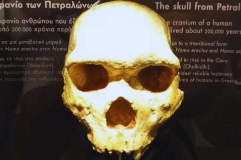 Древнейшее прямохождение нашли у сахелантропа из Чада — Science Advances