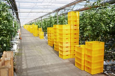 Для маленьких теплиц подходит система с биметаллической пластиной — садоводы