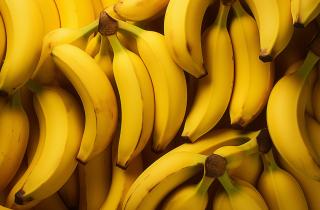 Смерть на завтрак отменяется: найден секретный код в ДНК дикого предка для спасения бананов