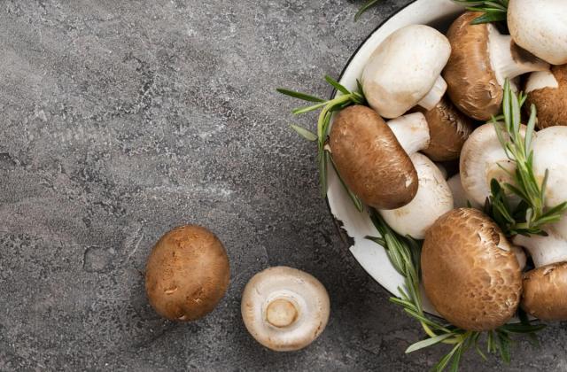 Диетолог Мухина предупредила, кому противопоказаны грибы: 6 групп людей в зоне риска