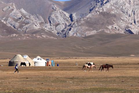 Туристы отмечают гостеприимство киргизов и доступность национальной кухни