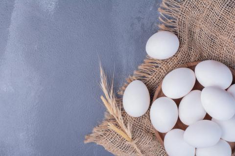 Ветеринары рассказали, когда яйца полезны кошкам и когда опасны