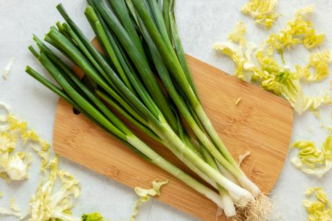 Зелёный лук успешно растёт зимой в пластиковом ящике — садоводы