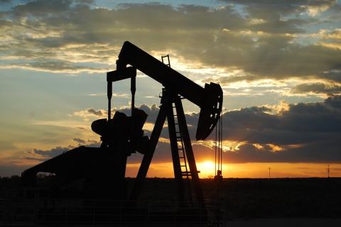 В Польше у Свиноуйсьце нашли крупнейшее месторождение нефти и газа — Central European Petroleum