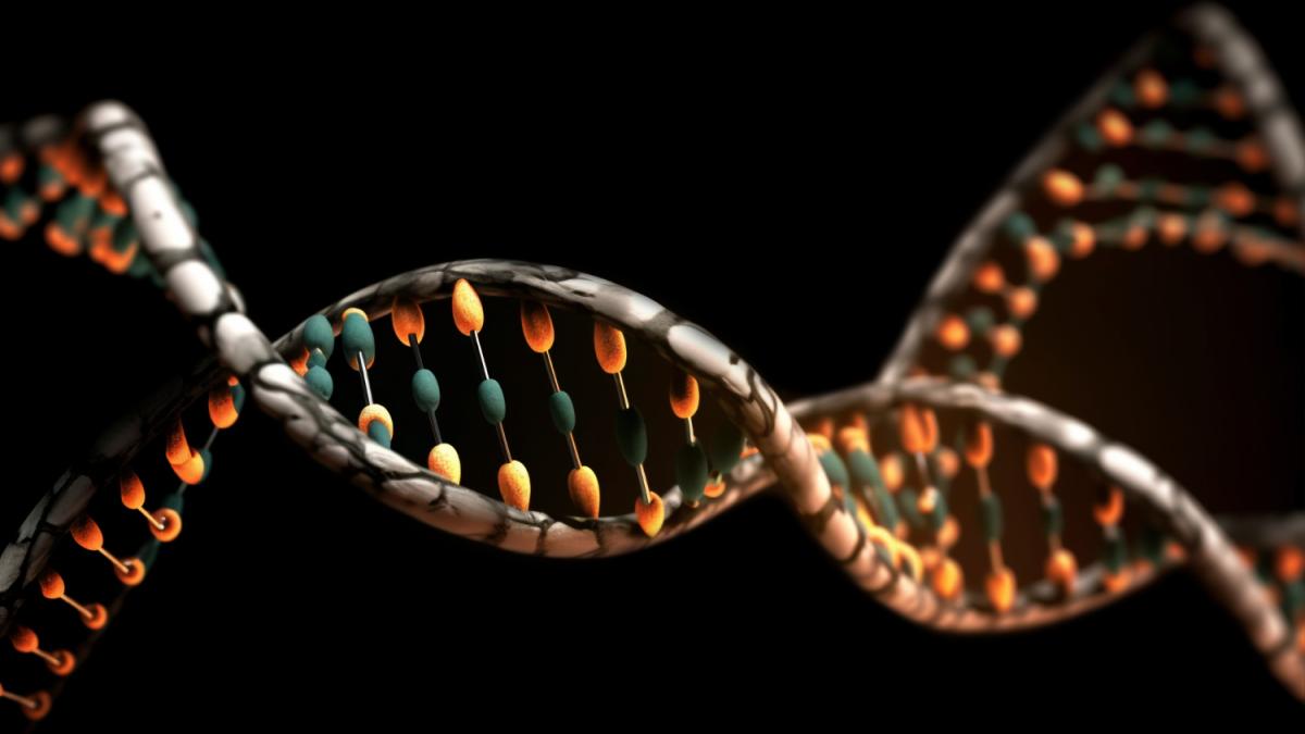 Представление цепи ДНК человека