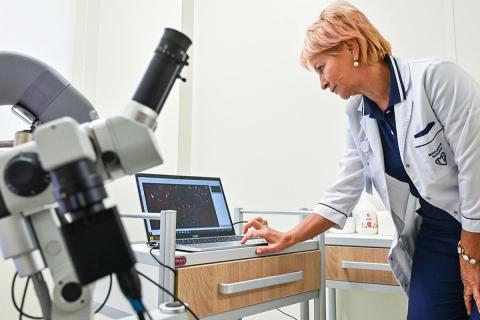 Учёные подтвердили, что эмбриональные модели человека регенерируют без рубцов