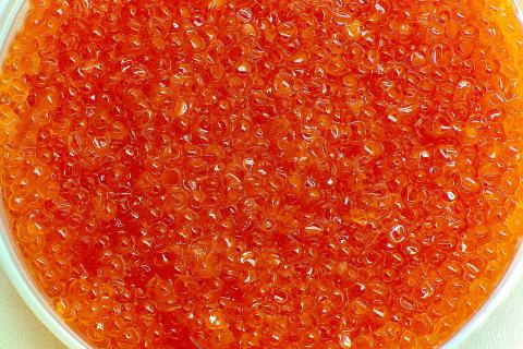 Средний чек покупки красной икры на Кубани составил 4,3 тысячи рублей — Платформа ОФД