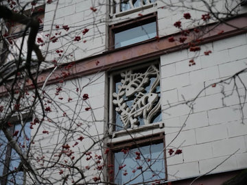 Варварство и вандализм: в Петербурге отреагировали на 