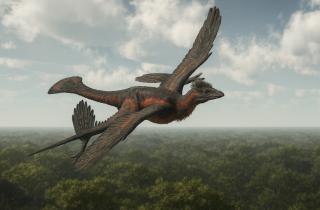 Альхалаби: в Сирии обнаружена плечевая кость гигантского птерозавра с размахом крыльев около 10 метров