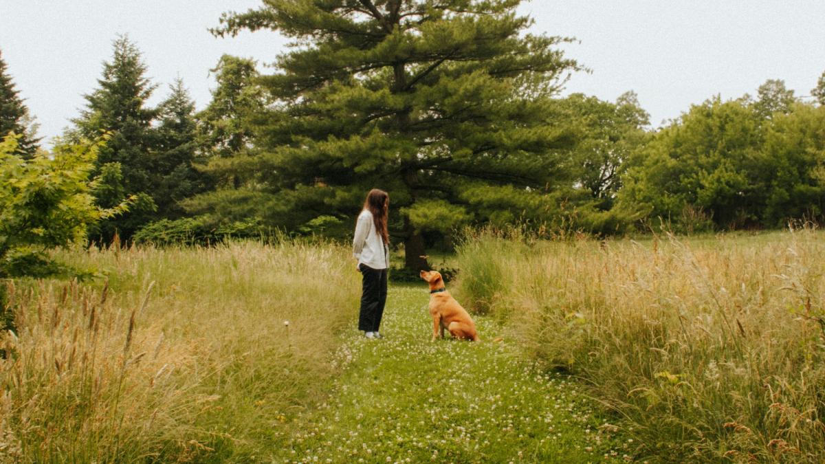 Девушка с собакой