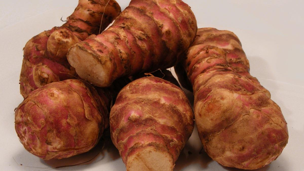 топинамбур