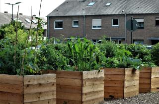 Садоводы советует зимой убрать больные растения с приподнятых грядок — Southern Living