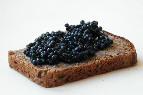 Экспорт российской красной и чёрной икры вырос на 38% за 11 месяцев — 