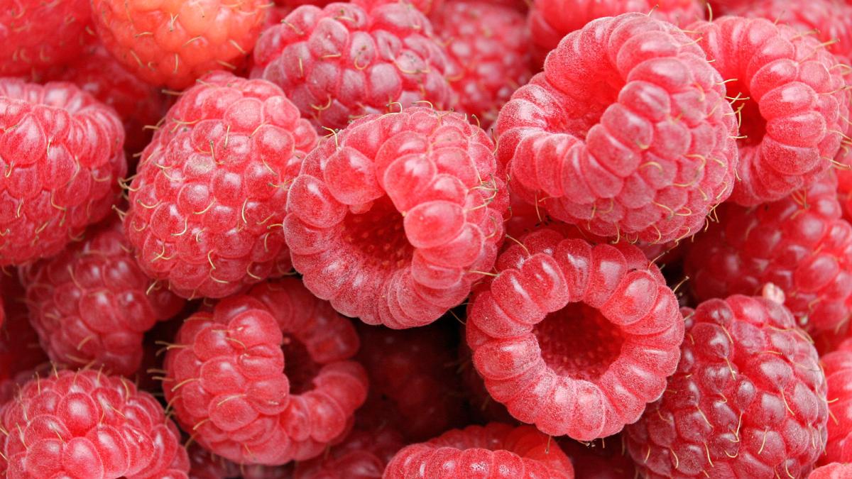 Raspberries05 Raspberries05