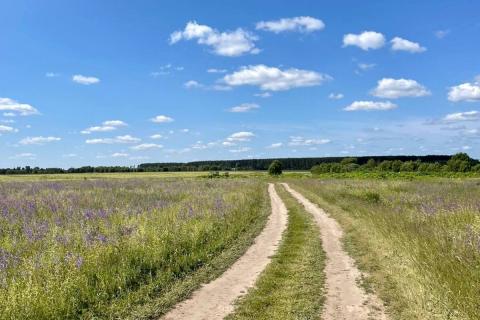 Археологи нашли в Гнездово доказательства разрушения курганов по приказу княгини Ольги