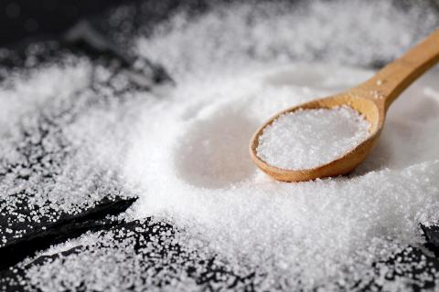 Как бороться с конденсатом и плесенью в квартире: народное средство с лавровым листом и солью