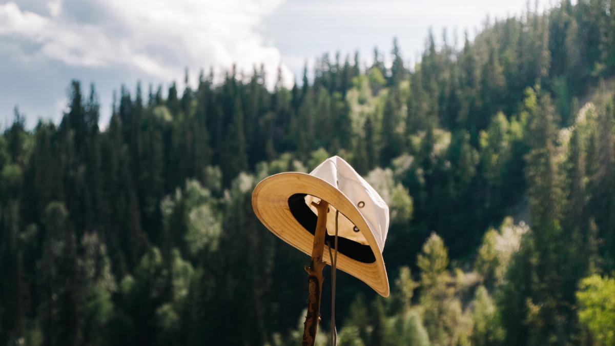 шляпа на палке на фоне леса