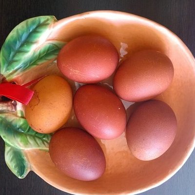 Диетолог Комиссарова сообщила, что в день можно съесть не более двух яиц